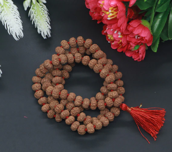 6 Mukhi Rudraksha Beads