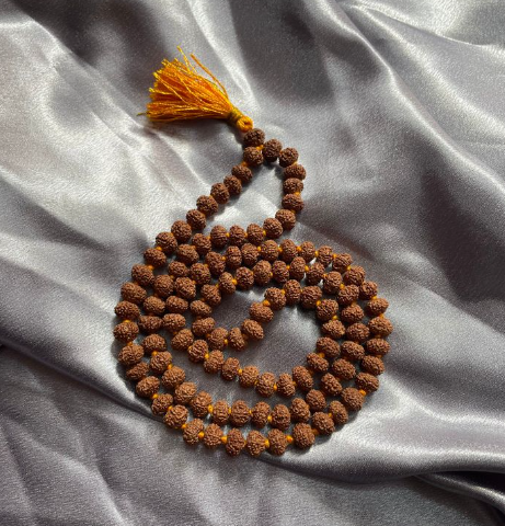 8 Mukhi Rudraksha Beads