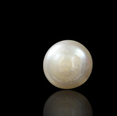 Pearl (Moti) Gemstone (15 Carat)