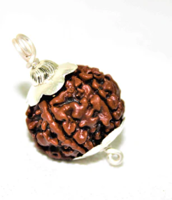 Five Mukhi Rudraksha