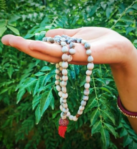 Vaijanti Mala